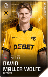 David Møller Wolfe - limited