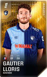 Gautier Lloris - limited