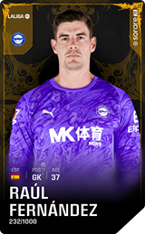 Raúl Fernández - limited