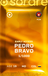 Pedro Bravo
