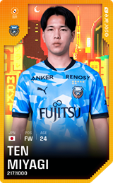 Ten Miyagi - limited