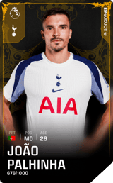 João Palhinha - limited