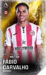 Fábio Carvalho - limited