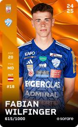 Fabian Wilfinger - limited