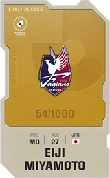 Eiji Miyamoto - limited