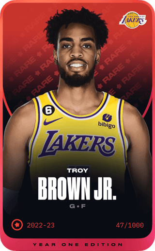 Troy Brown Jr. - rare