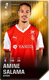 Amine Salama - limited