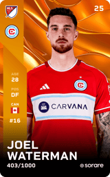 Joel Waterman - limited