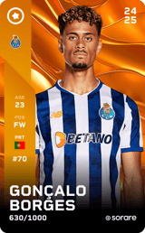 Gonçalo Borges - limited
