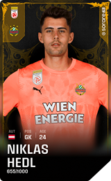 Niklas Hedl - limited
