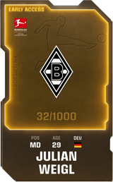 Julian Weigl - limited