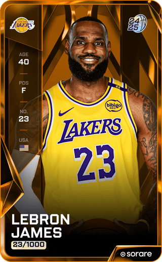 LeBron James - limited