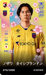 Taishi Brandon Nozawa - limited