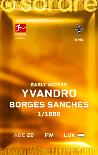 Yvandro Borges Sanches