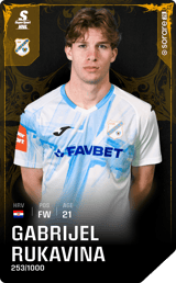 Gabrijel Rukavina - limited