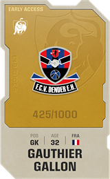 Gauthier Gallon - limited