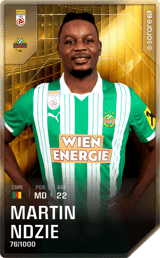 Martin Ndzie - limited
