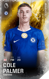 Cole Palmer - limited