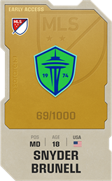 Snyder Brunell - limited