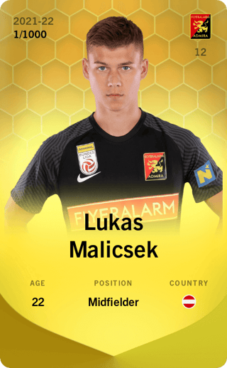 Lukas Malicsek