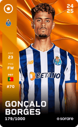 Gonçalo Borges - limited