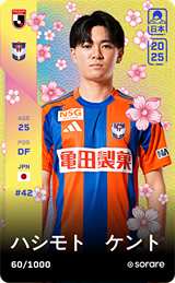 Kento Hashimoto - limited