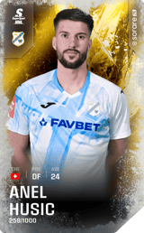 Anel Husic - limited