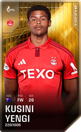 Kusini Yengi - limited