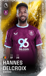 Hannes Delcroix - limited
