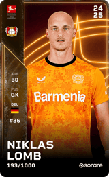 Niklas Lomb - limited