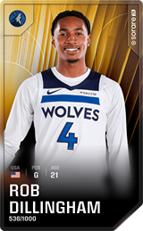 Rob Dillingham - limited