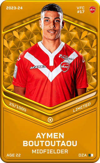 Aymen Boutoutaou - limited