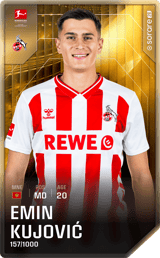 Emin Kujović - limited