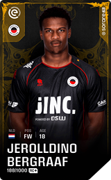Jerolldino Bergraaf - limited