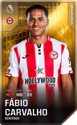 Fábio Carvalho - limited