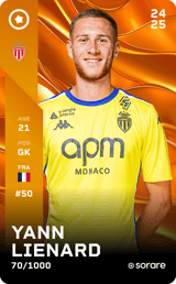 Yann Lienard - limited