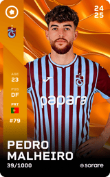 Pedro Malheiro - limited