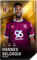 Hannes Delcroix - limited