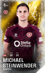 Michael Steinwender - limited