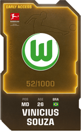 Vinicius Souza - limited