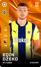 Edin Džeko - limited