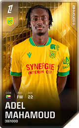 Adel Mahamoud - limited