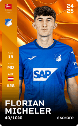 Florian Micheler - limited