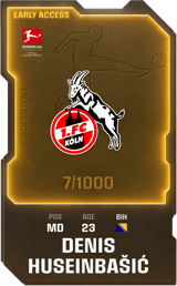 Denis Huseinbašić - limited