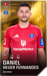 Daniel Heuer Fernandes - limited