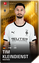 Tim Kleindienst - limited