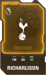 Richarlison - limited