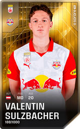 Valentin Sulzbacher - limited