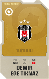 Ege Tıknaz - limited