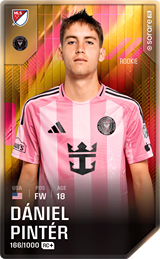 Dániel Pintér - limited